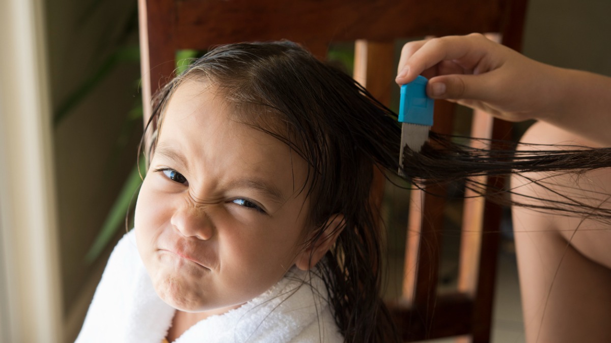 hoe snel luizen verwijderen?